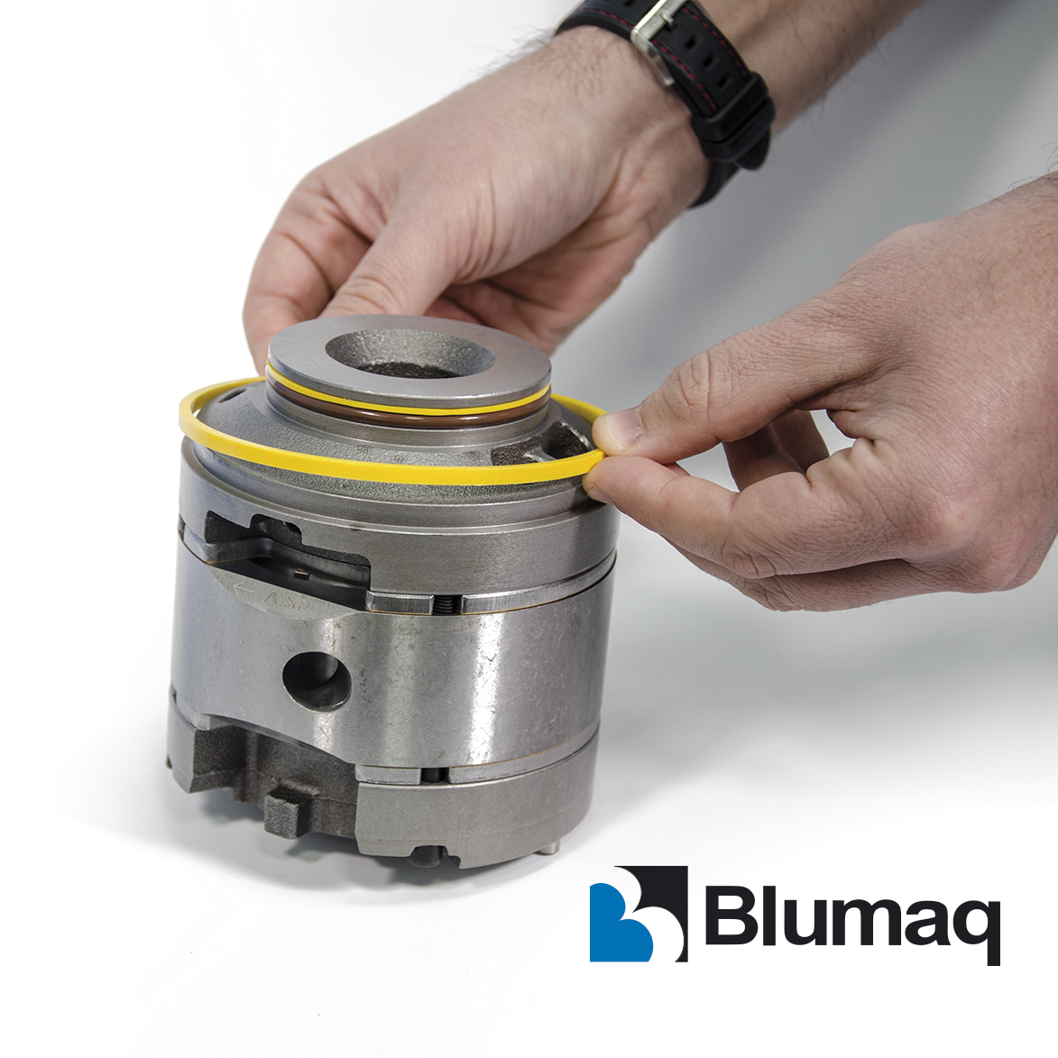 Blumaq O Ring Seal Kits En Moving The World